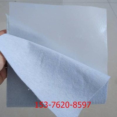 大安復合土工布 實業(yè)集團 致力于土工布行業(yè)的創(chuàng)新與卓越