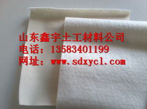 土工布 垃圾填埋場的防滲衛(wèi)士與建材加工的關鍵角色